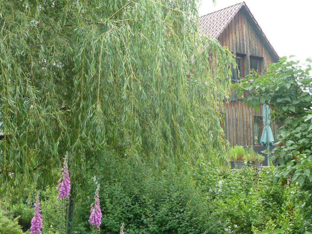 Ferienwohnung Lotti Brotterode Habitación foto